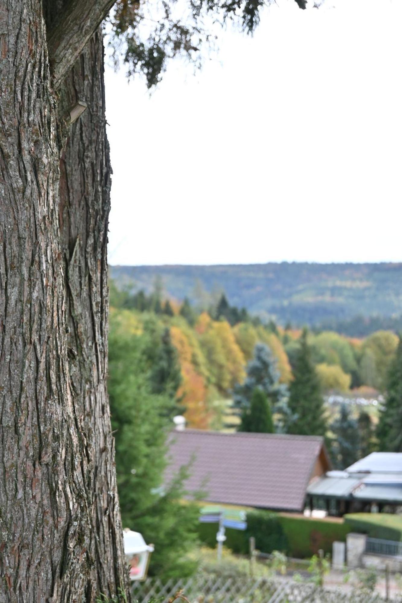 Hotel Talblick Dobel Exterior foto